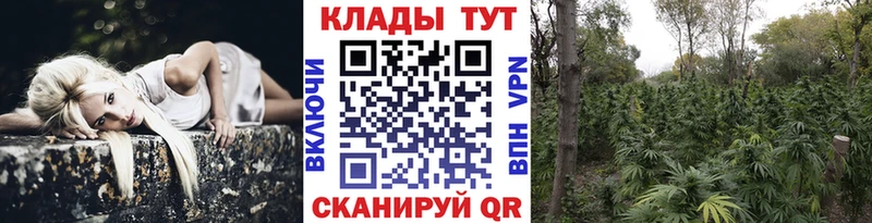 Хочу наркоту Зеленоградск A PVP КОКАИН Меф мяу мяу БУТИРАТ Гашиш
