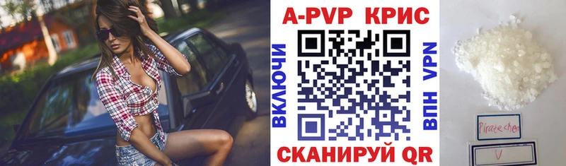 Альфа ПВП СК КРИС  KRAKEN ссылки  Зеленоградск 