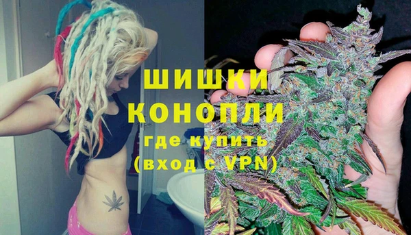 индика Бугульма