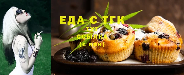 индика Бугульма