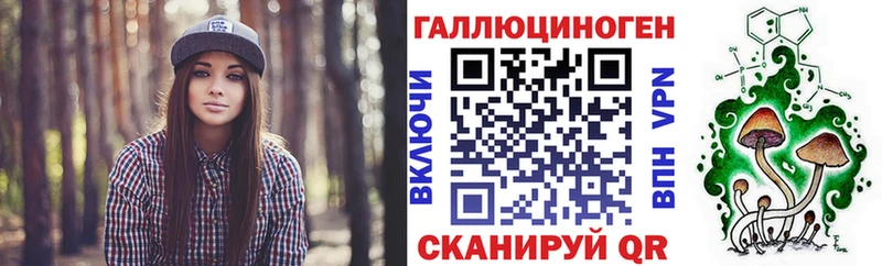 продажа наркотиков  Зеленоградск  МЕГА ONION  Псилоцибиновые грибы GOLDEN TEACHER 